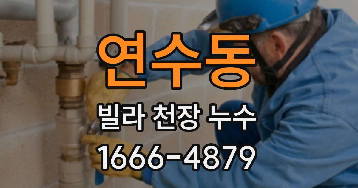 연수동 빌라 천장 누수