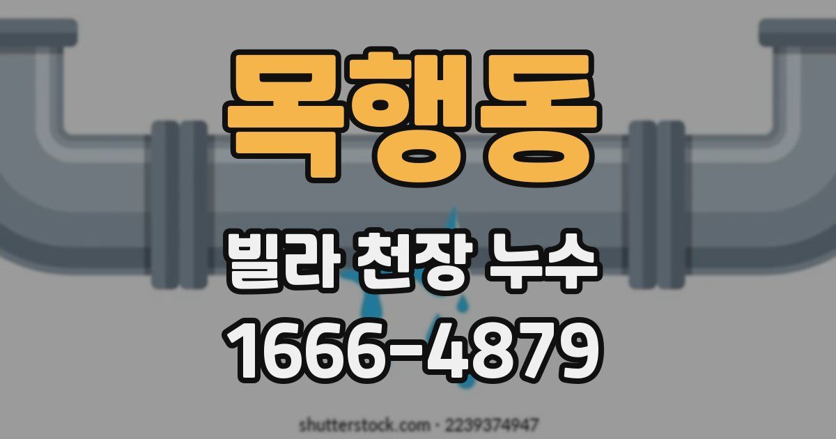 목행동 빌라 천장 누수