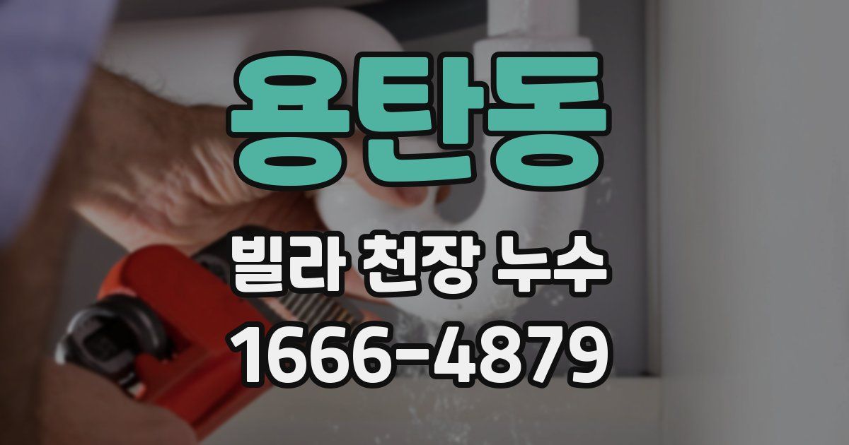 용탄동 빌라 천장 누수