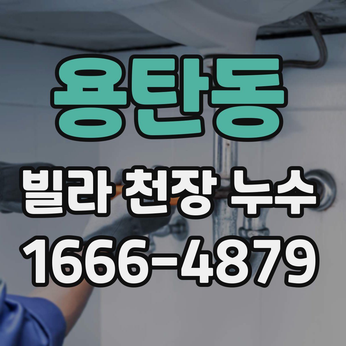 용탄동 빌라 천장 누수