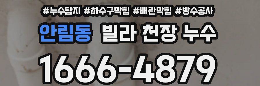 안림동 빌라 천장 누수