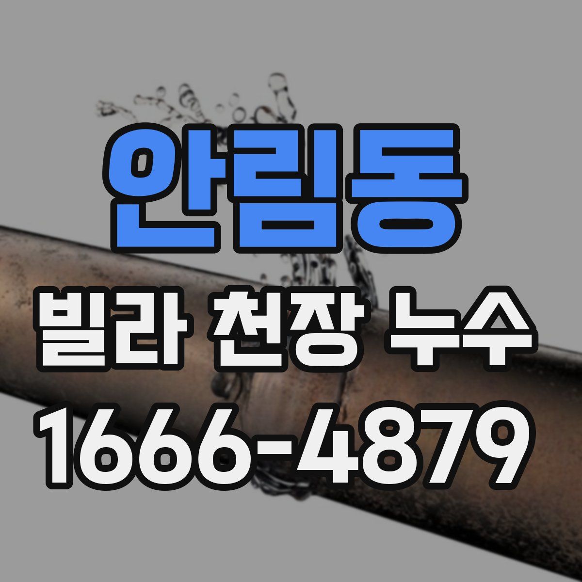 안림동 빌라 천장 누수