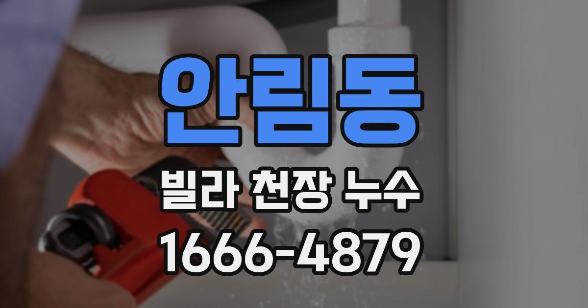 안림동 빌라 천장 누수