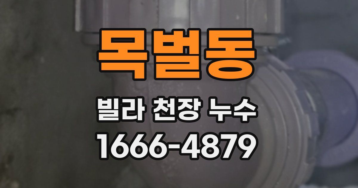 목벌동 빌라 천장 누수