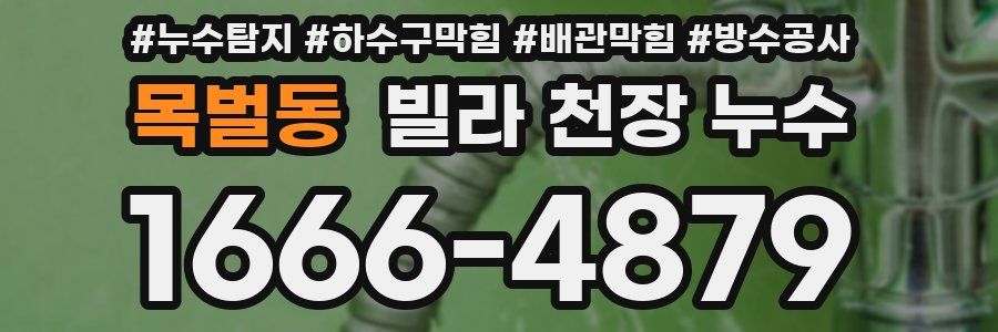 목벌동 빌라 천장 누수