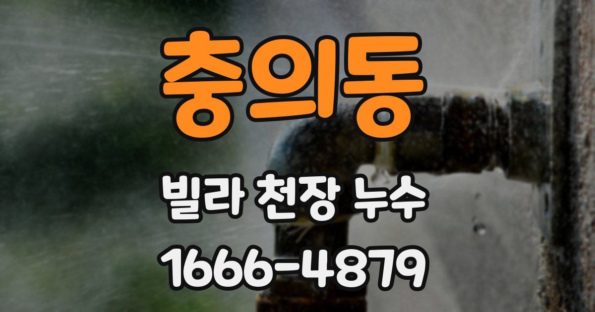 충의동 빌라 천장 누수