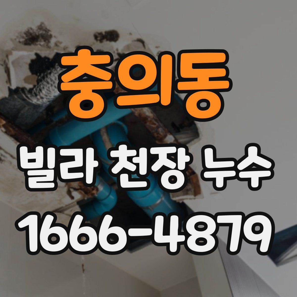 충의동 빌라 천장 누수