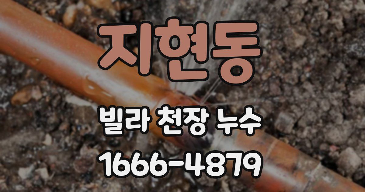 지현동 빌라 천장 누수