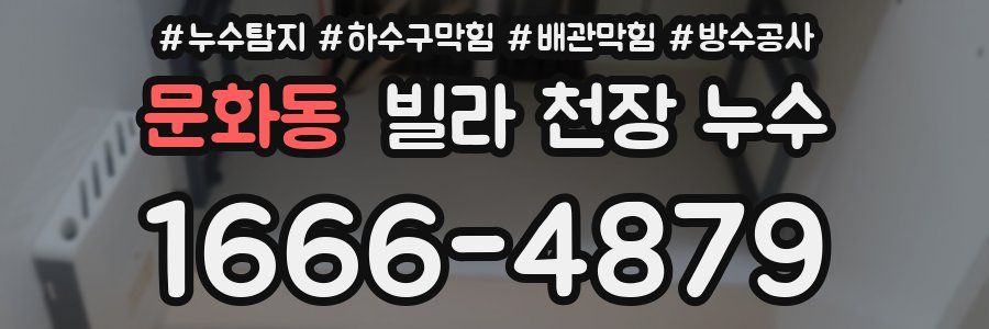 문화동 빌라 천장 누수