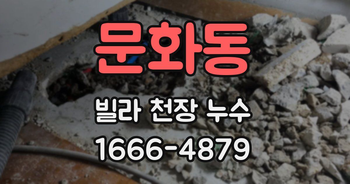 문화동 빌라 천장 누수