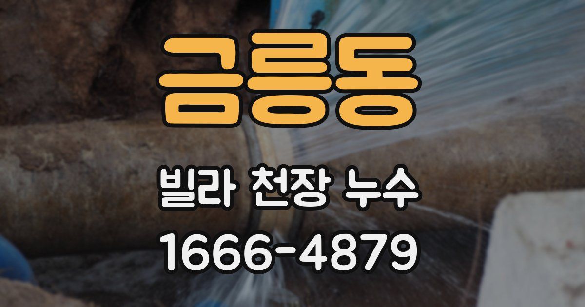 금릉동 빌라 천장 누수