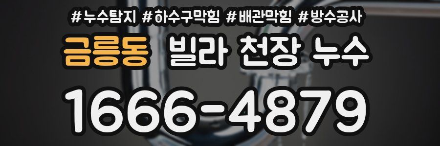 금릉동 빌라 천장 누수