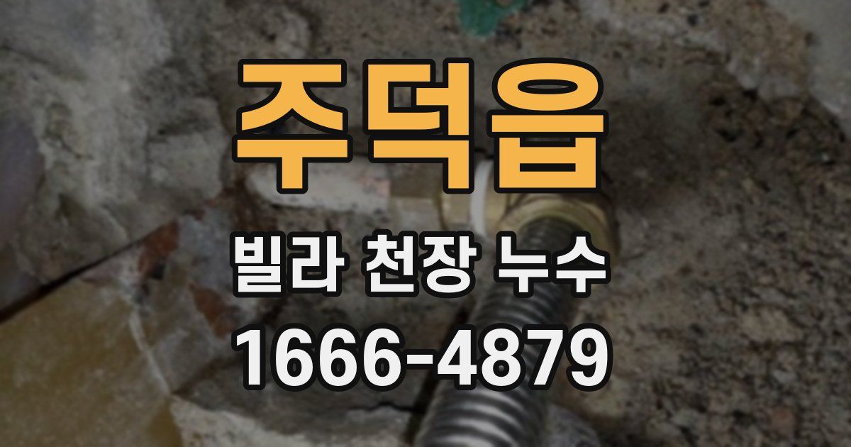 주덕읍 빌라 천장 누수