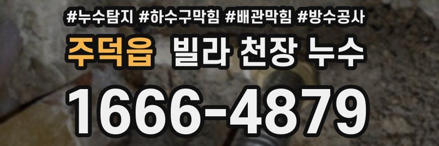주덕읍 빌라 천장 누수