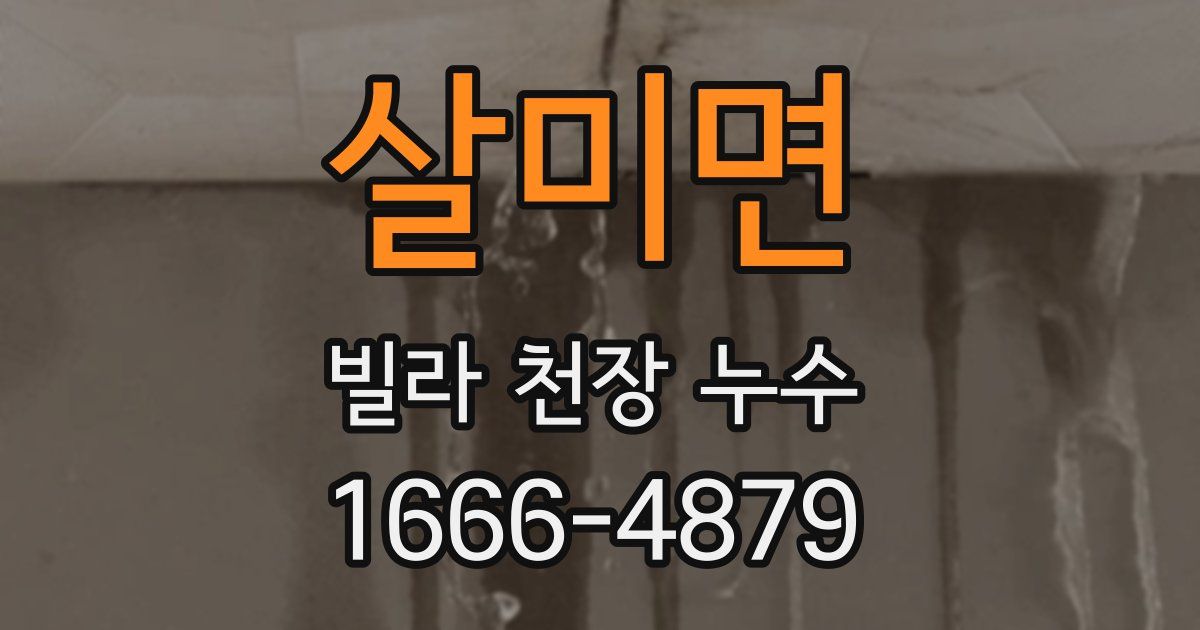 살미면 빌라 천장 누수