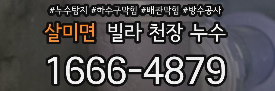 살미면 빌라 천장 누수