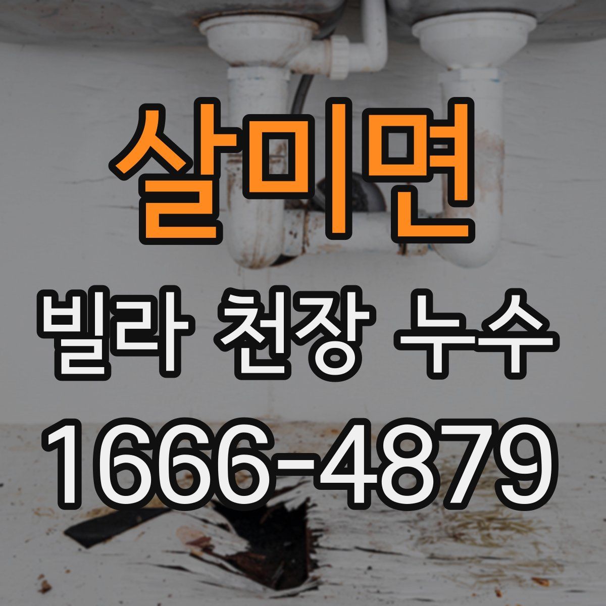 살미면 빌라 천장 누수