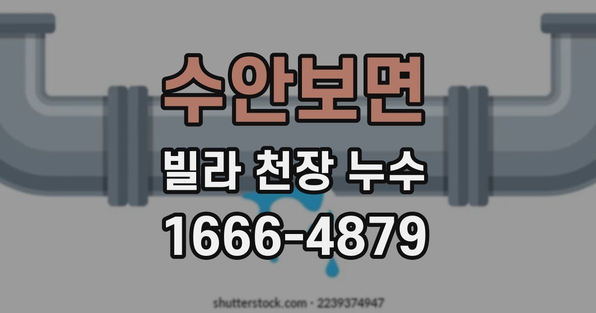 수안보면 빌라 천장 누수