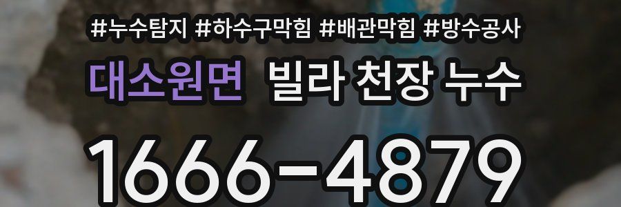대소원면 빌라 천장 누수