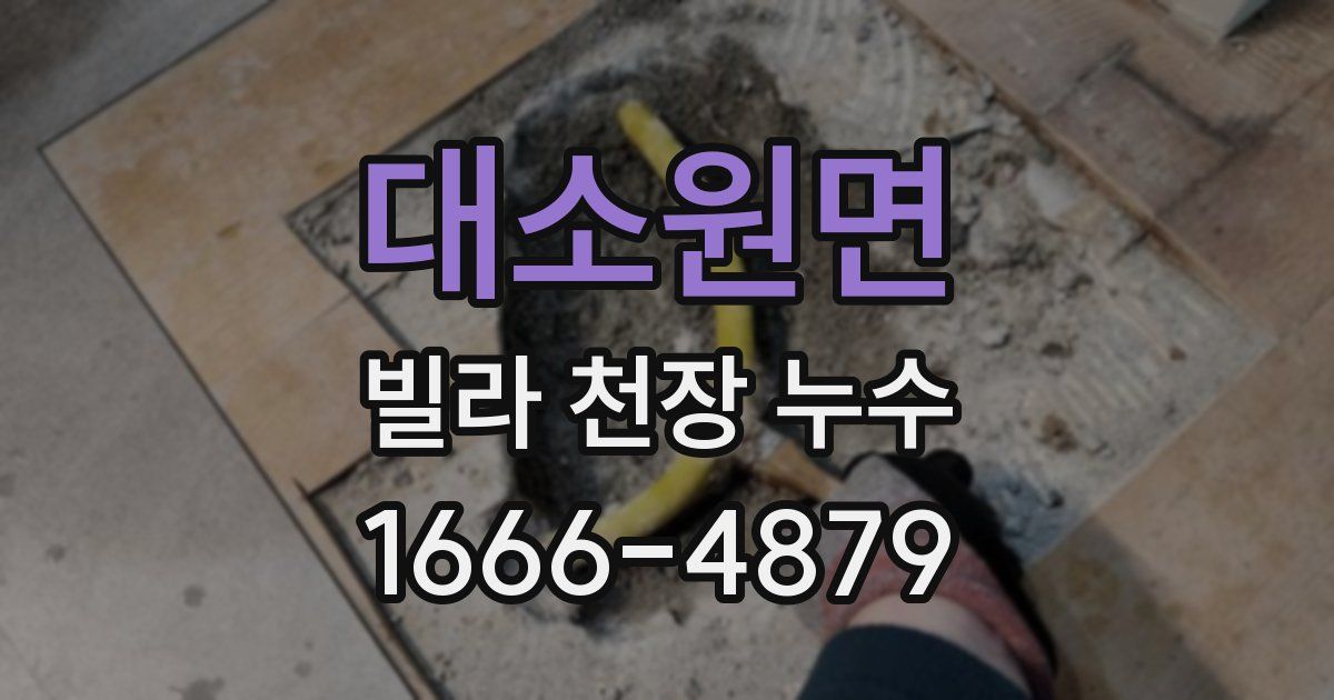 대소원면 빌라 천장 누수