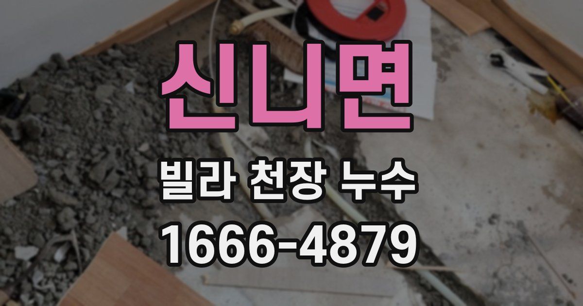 신니면 빌라 천장 누수
