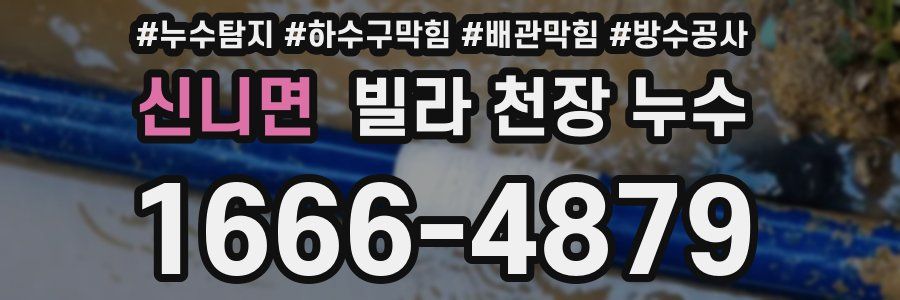 신니면 빌라 천장 누수