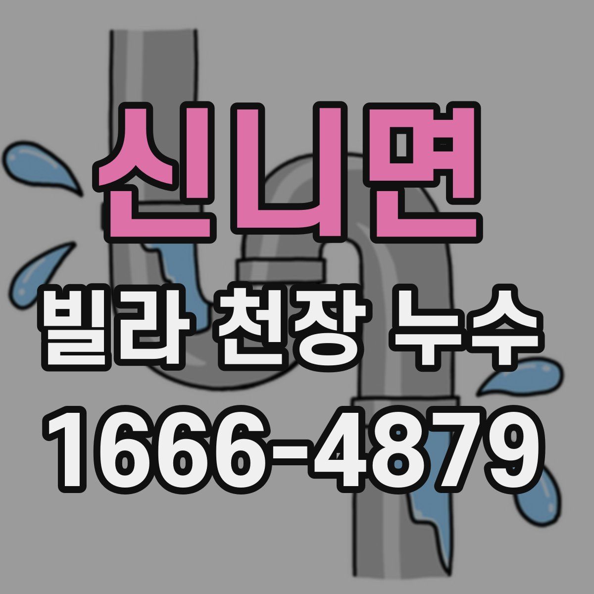 신니면 빌라 천장 누수
