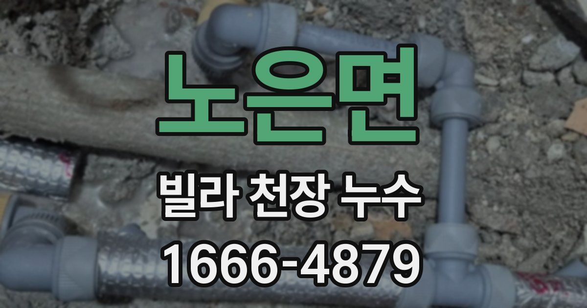 노은면 빌라 천장 누수