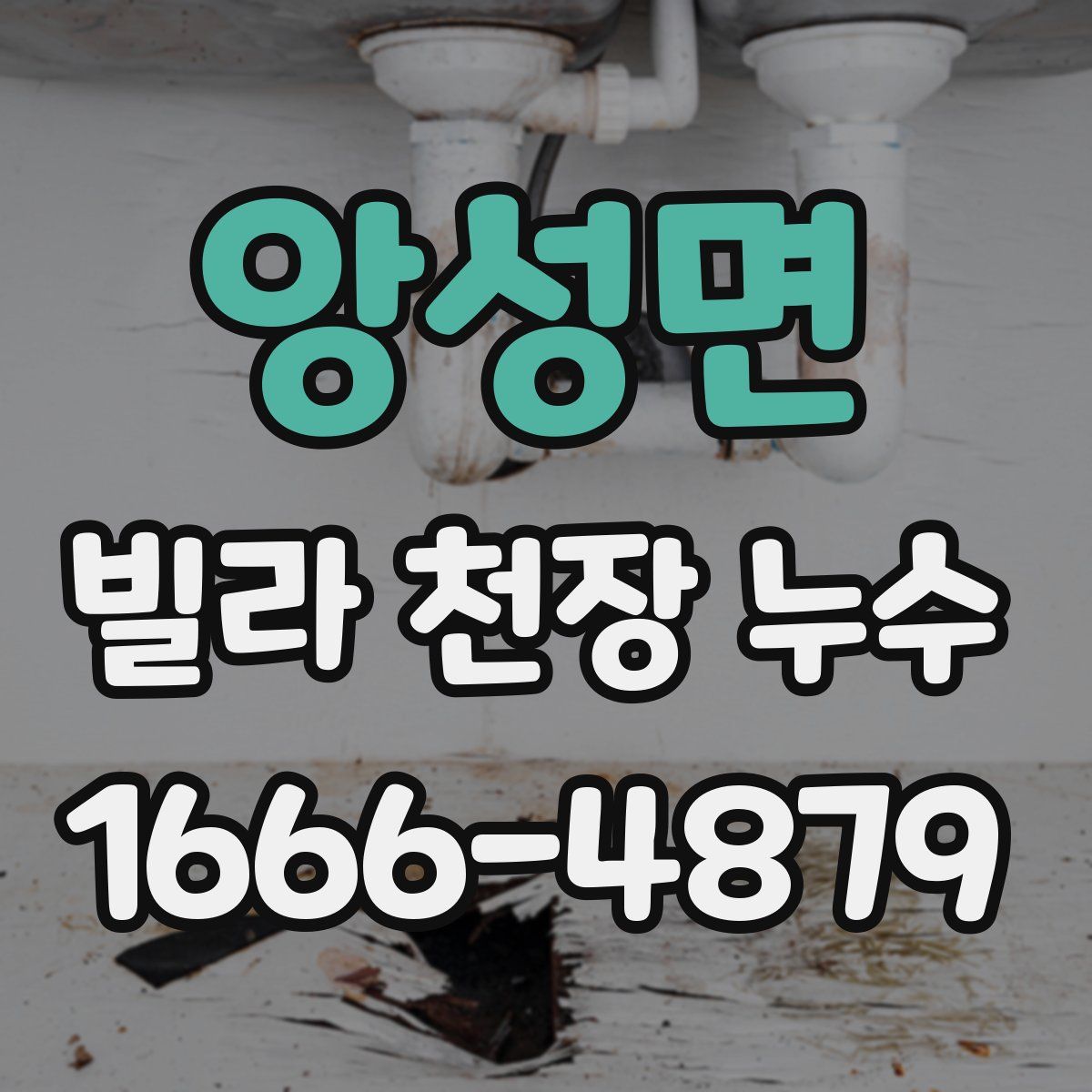 앙성면 빌라 천장 누수