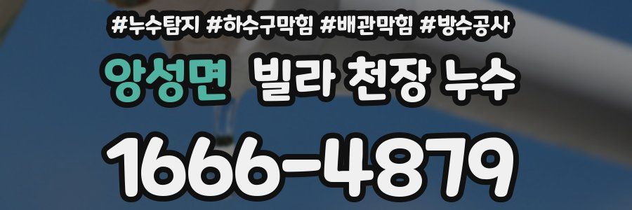 앙성면 빌라 천장 누수
