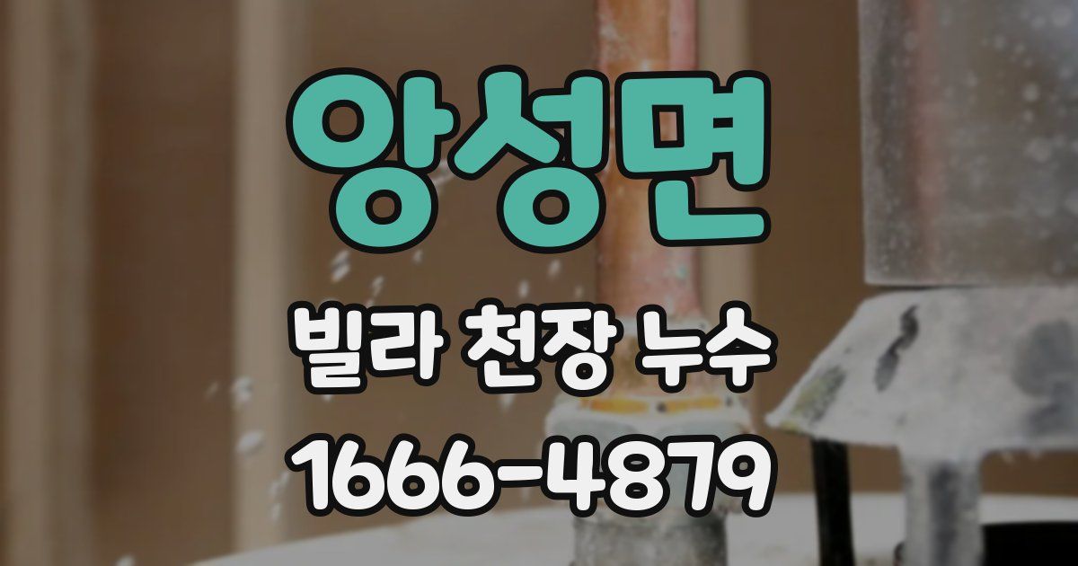 앙성면 빌라 천장 누수
