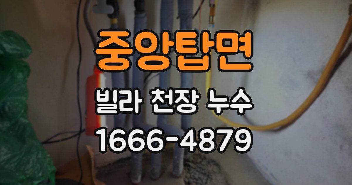 중앙탑면 빌라 천장 누수