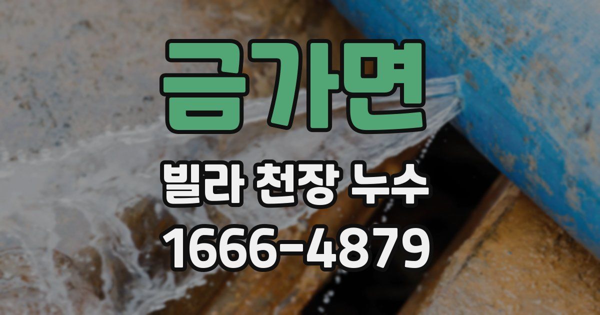 금가면 빌라 천장 누수
