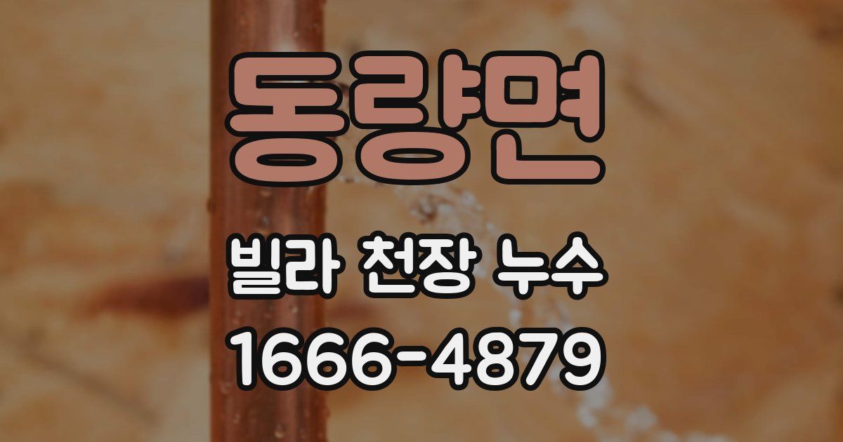 동량면 빌라 천장 누수