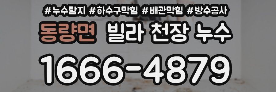 동량면 빌라 천장 누수