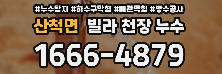산척면 빌라 천장 누수