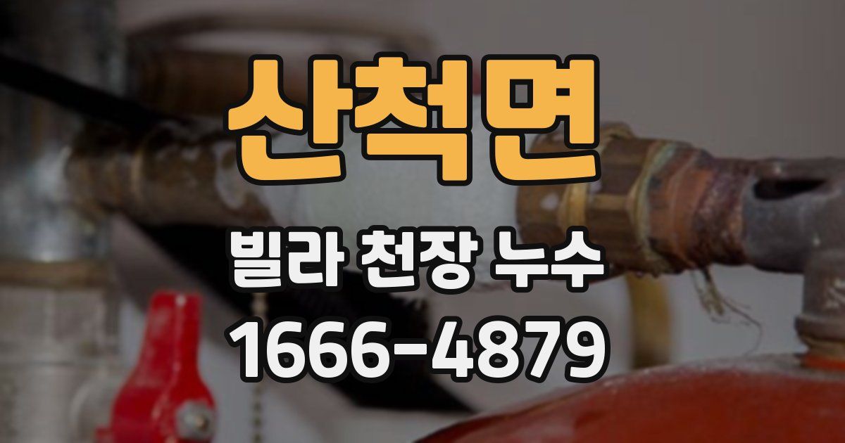 산척면 빌라 천장 누수