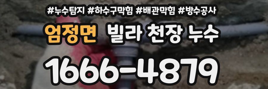 엄정면 빌라 천장 누수