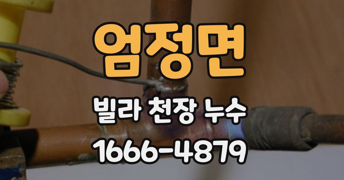 엄정면 빌라 천장 누수