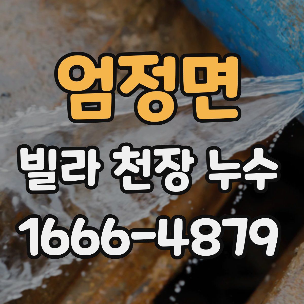 엄정면 빌라 천장 누수