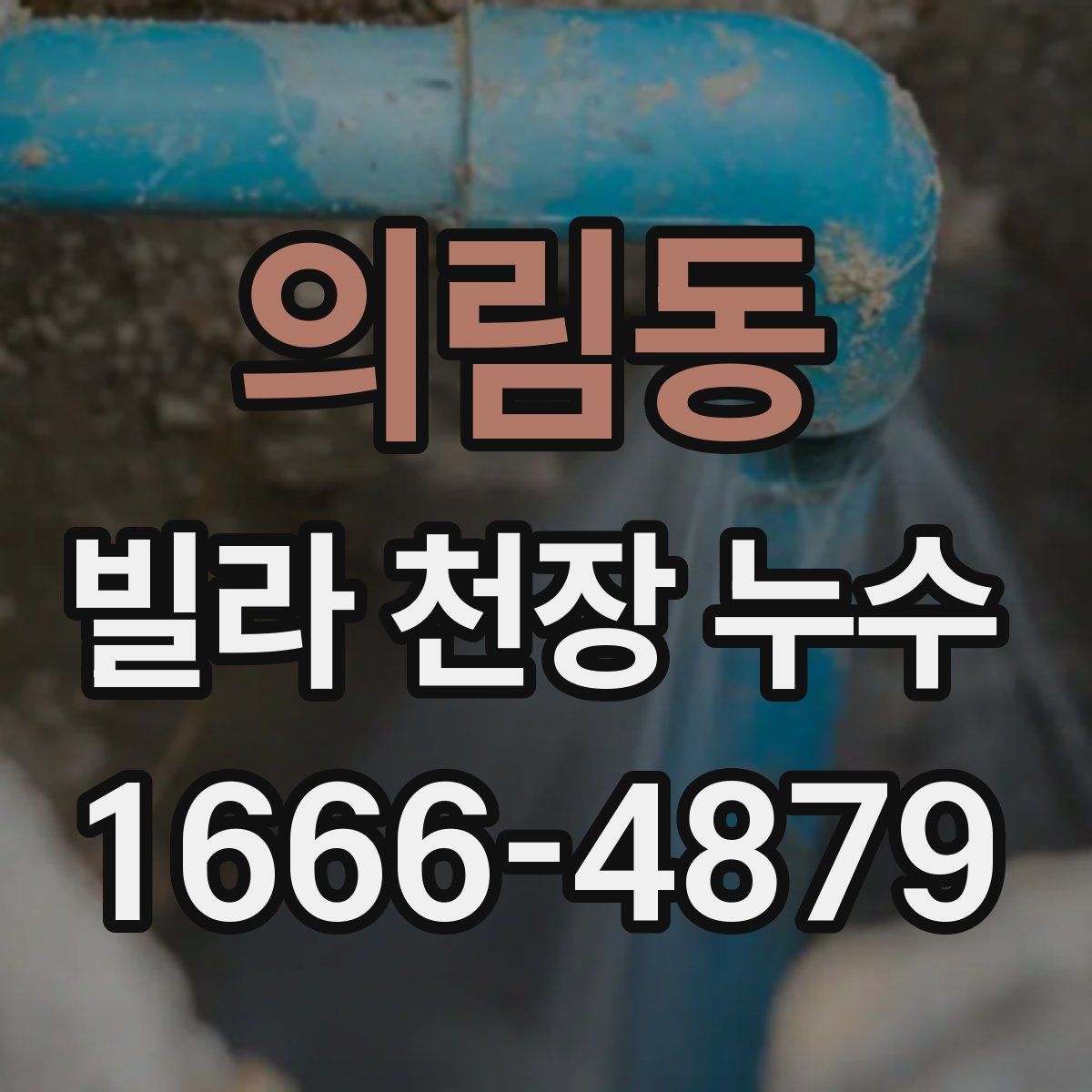 의림동 빌라 천장 누수