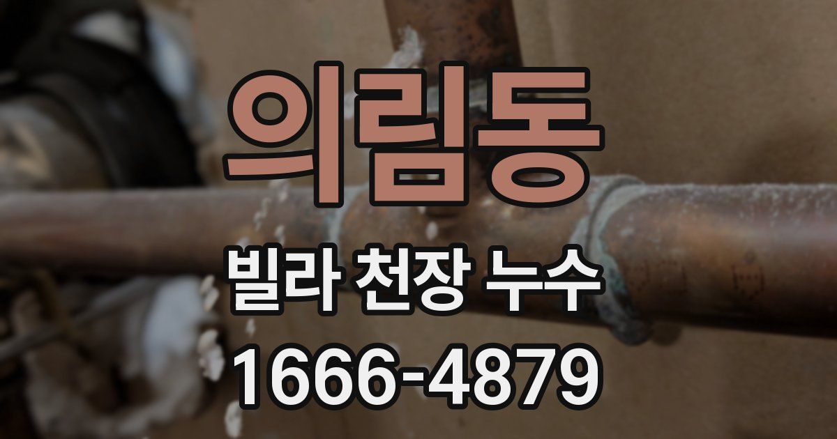 의림동 빌라 천장 누수