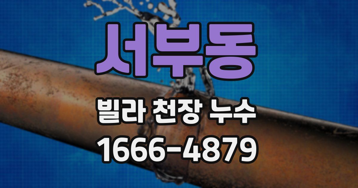 서부동 빌라 천장 누수