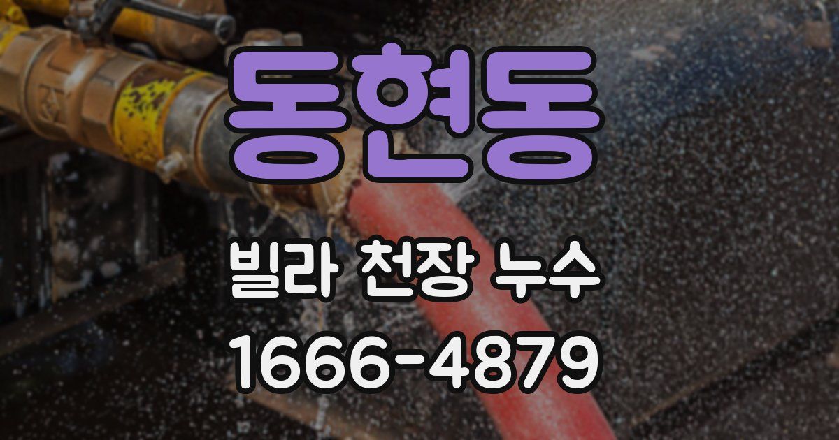 동현동 빌라 천장 누수