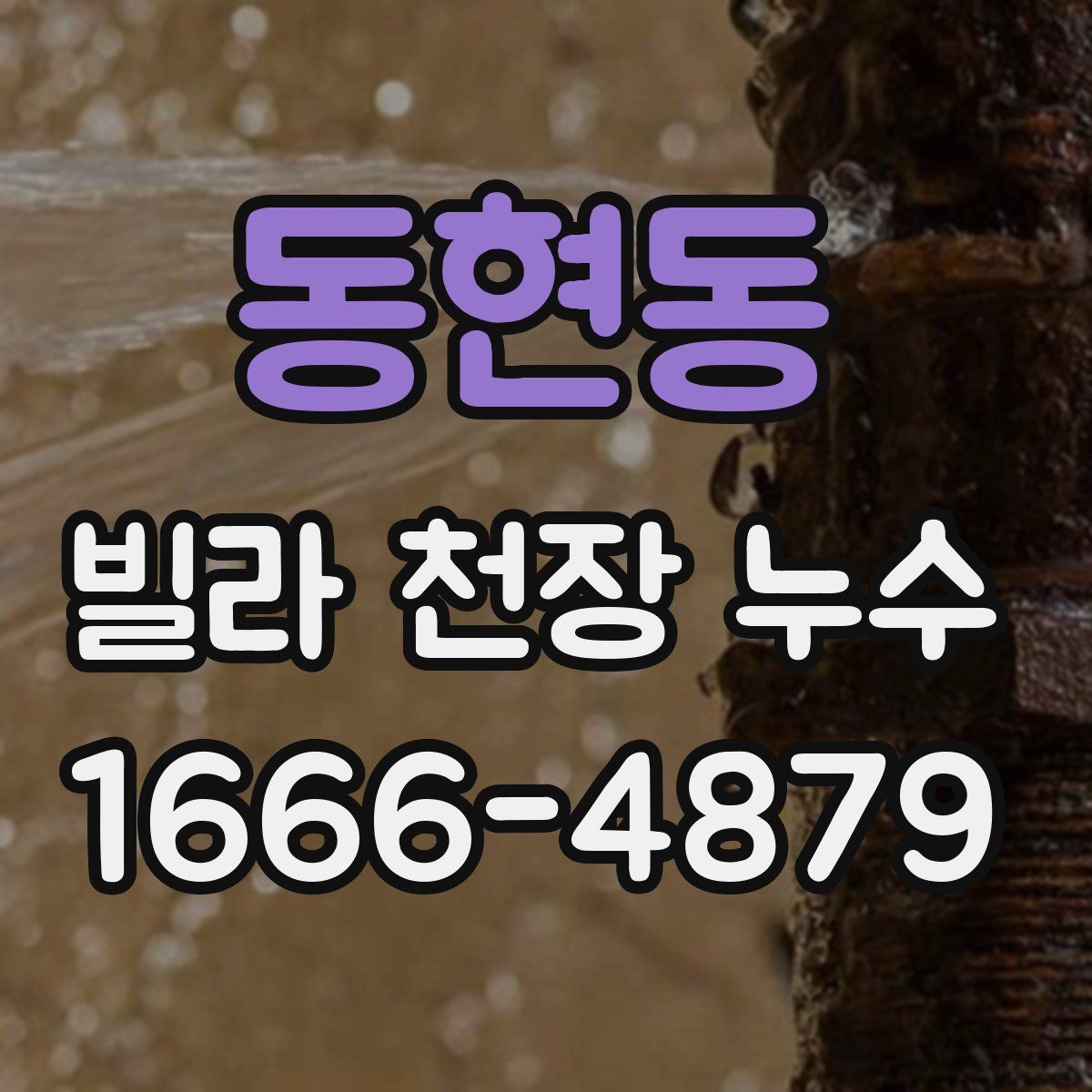 동현동 빌라 천장 누수