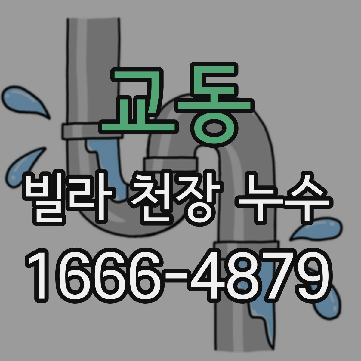 교동 빌라 천장 누수