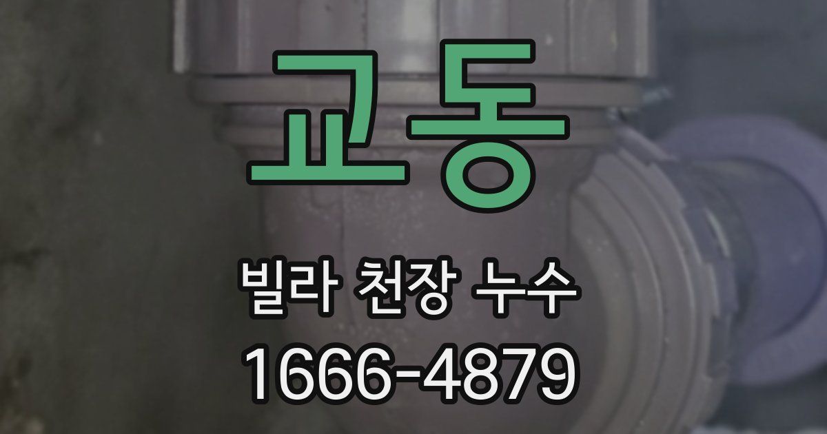 교동 빌라 천장 누수