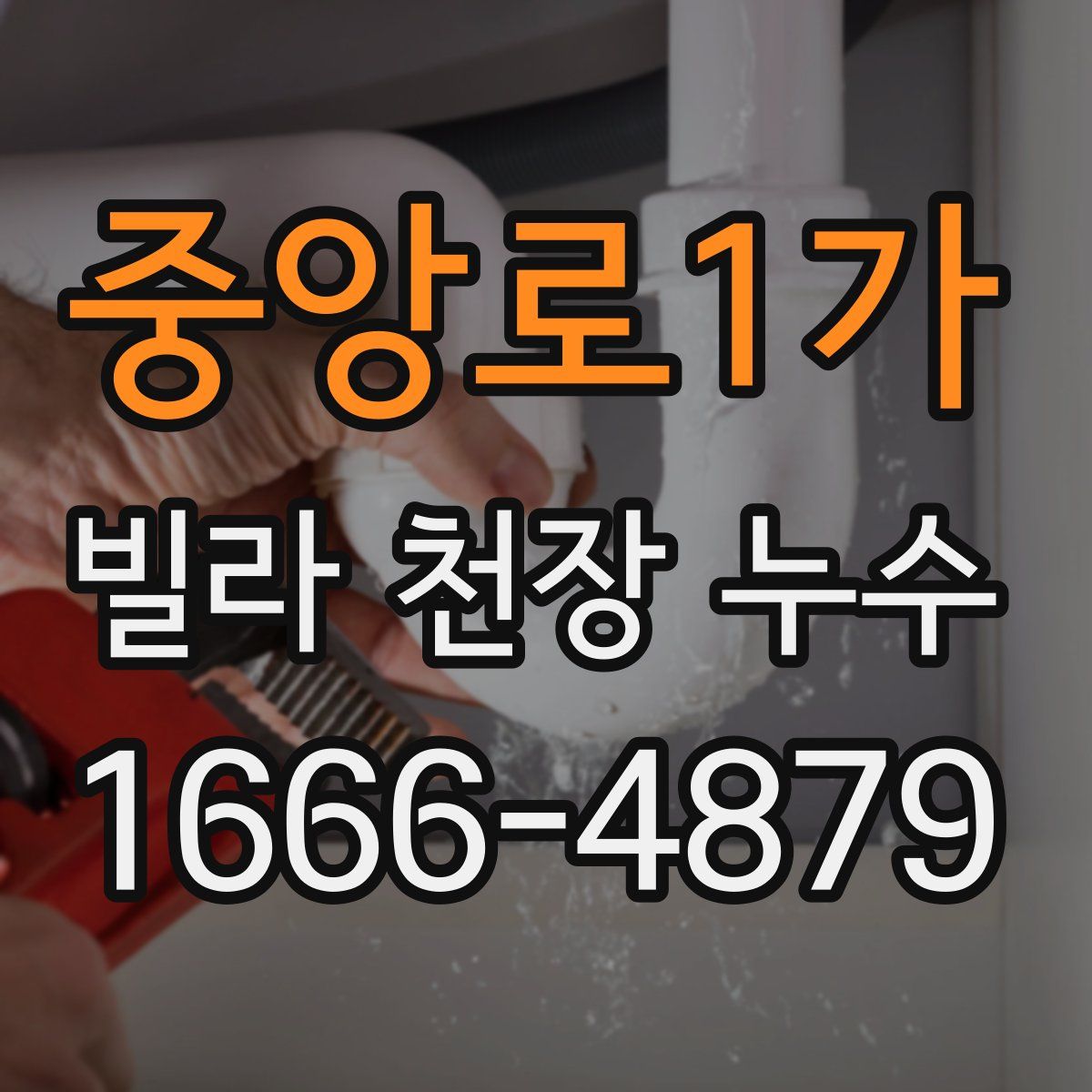 중앙로1가 빌라 천장 누수