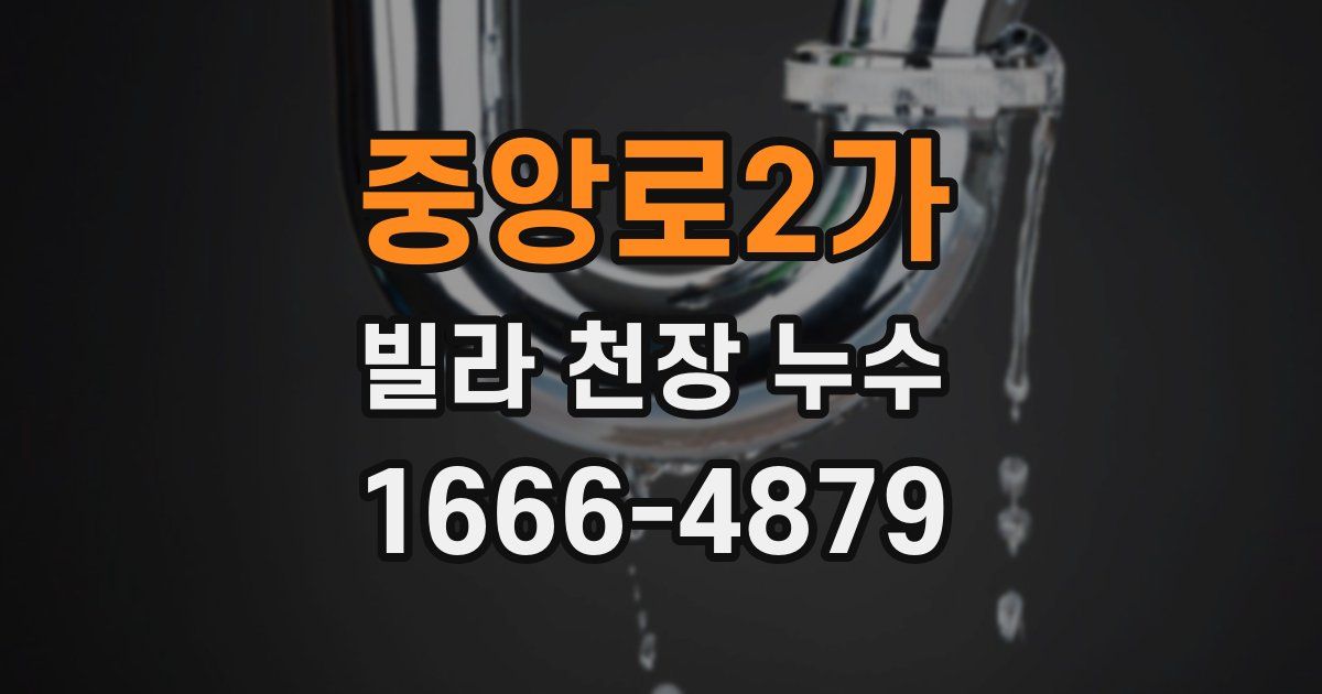 중앙로2가 빌라 천장 누수