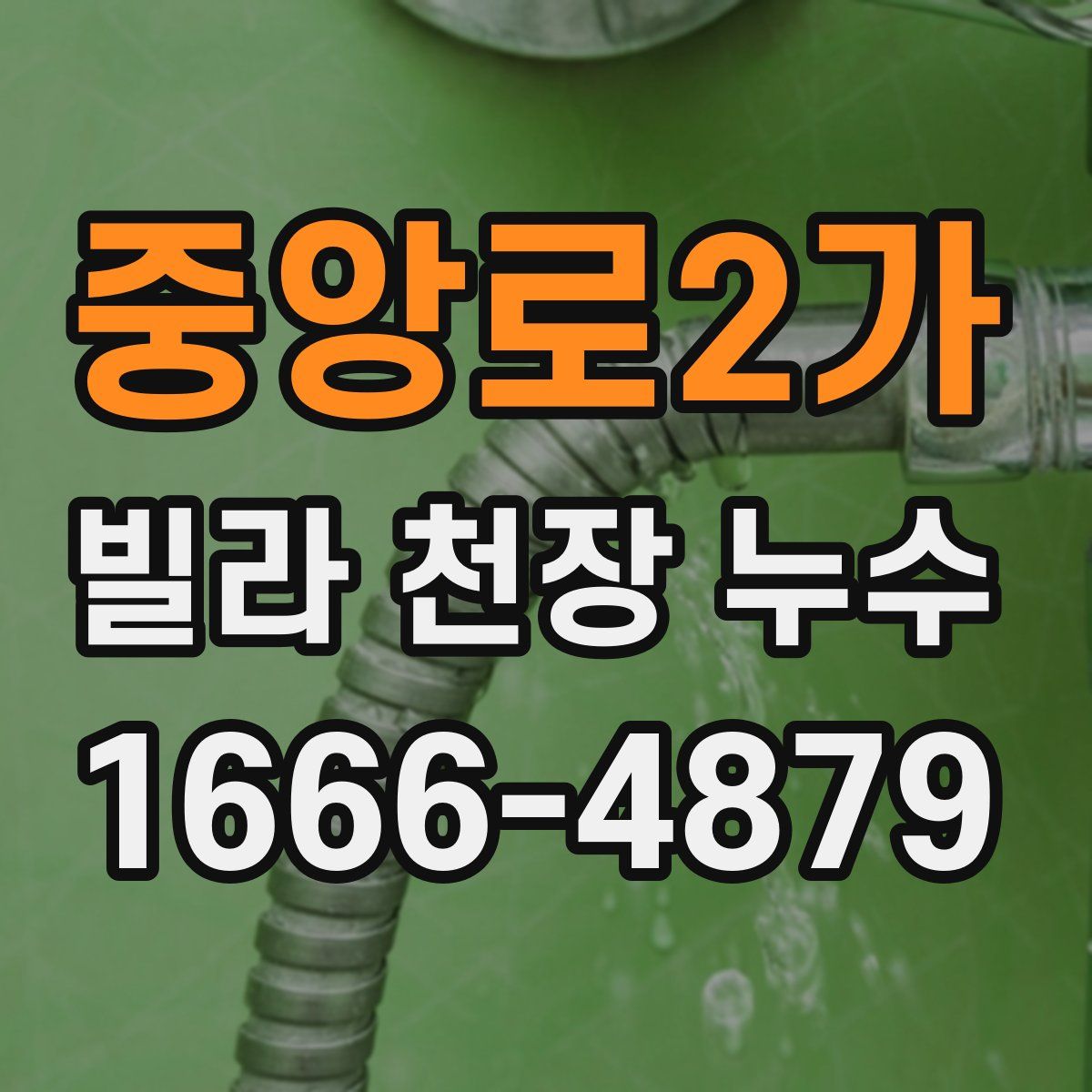 중앙로2가 빌라 천장 누수